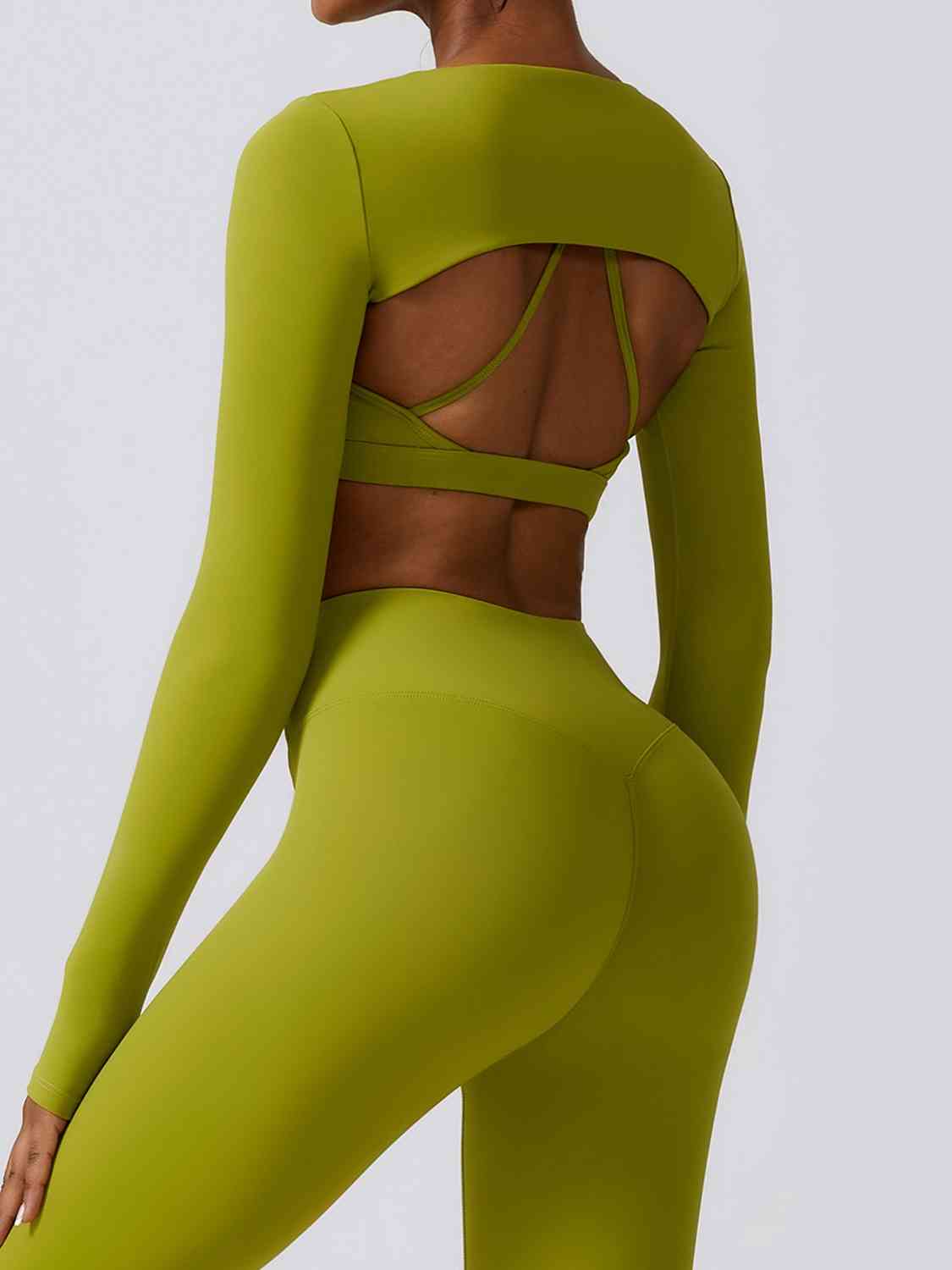 flex sports long sleeve crop top