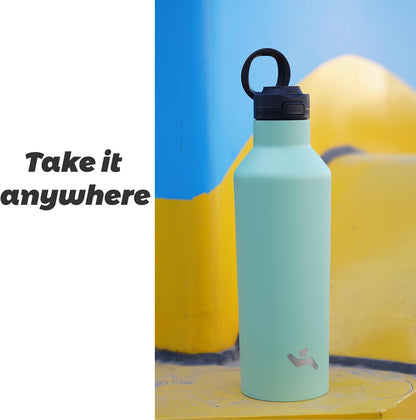 Insulated Water Bottle with Straw,25 OZ Double Wall Vacuum Stainless Steel Water Flask with 2 Lids,Black