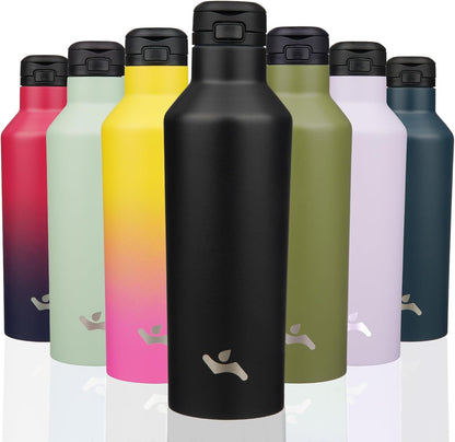 Insulated Water Bottle with Straw,25 OZ Double Wall Vacuum Stainless Steel Water Flask with 2 Lids,Black