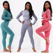 Seamless long sleeve yoga suit